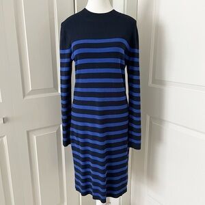 Banana Republic Cozy Striped Long Sleeve Sweater Knit Dress-Blue-Medium